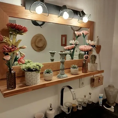 住宿加早餐酒店 D'hotes La Buissonniere Théziers